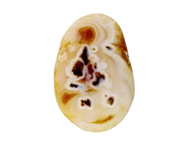 戴花帽的小姑娘