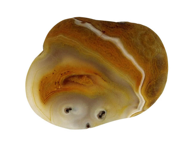 戴花帽的小男孩